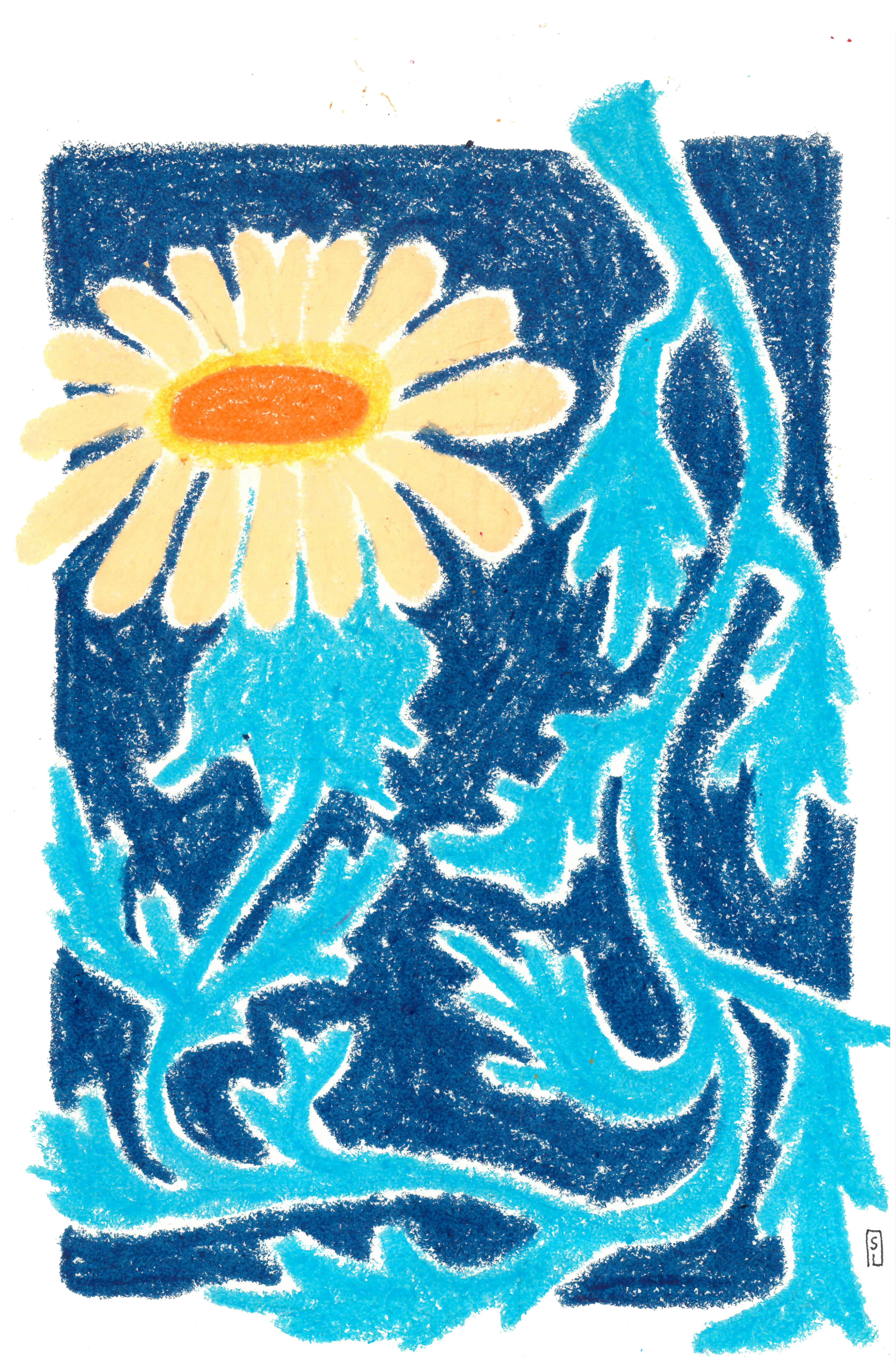 Little Winter Sun